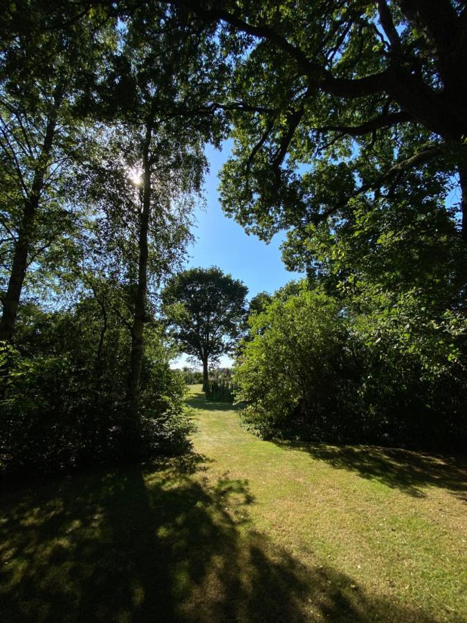 Appartement Duinweg Onstwedde 外观 照片
